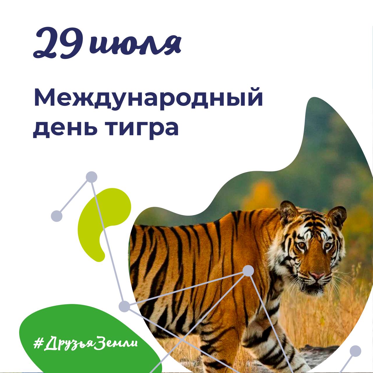 Международный день тигра (International Tiger Day).